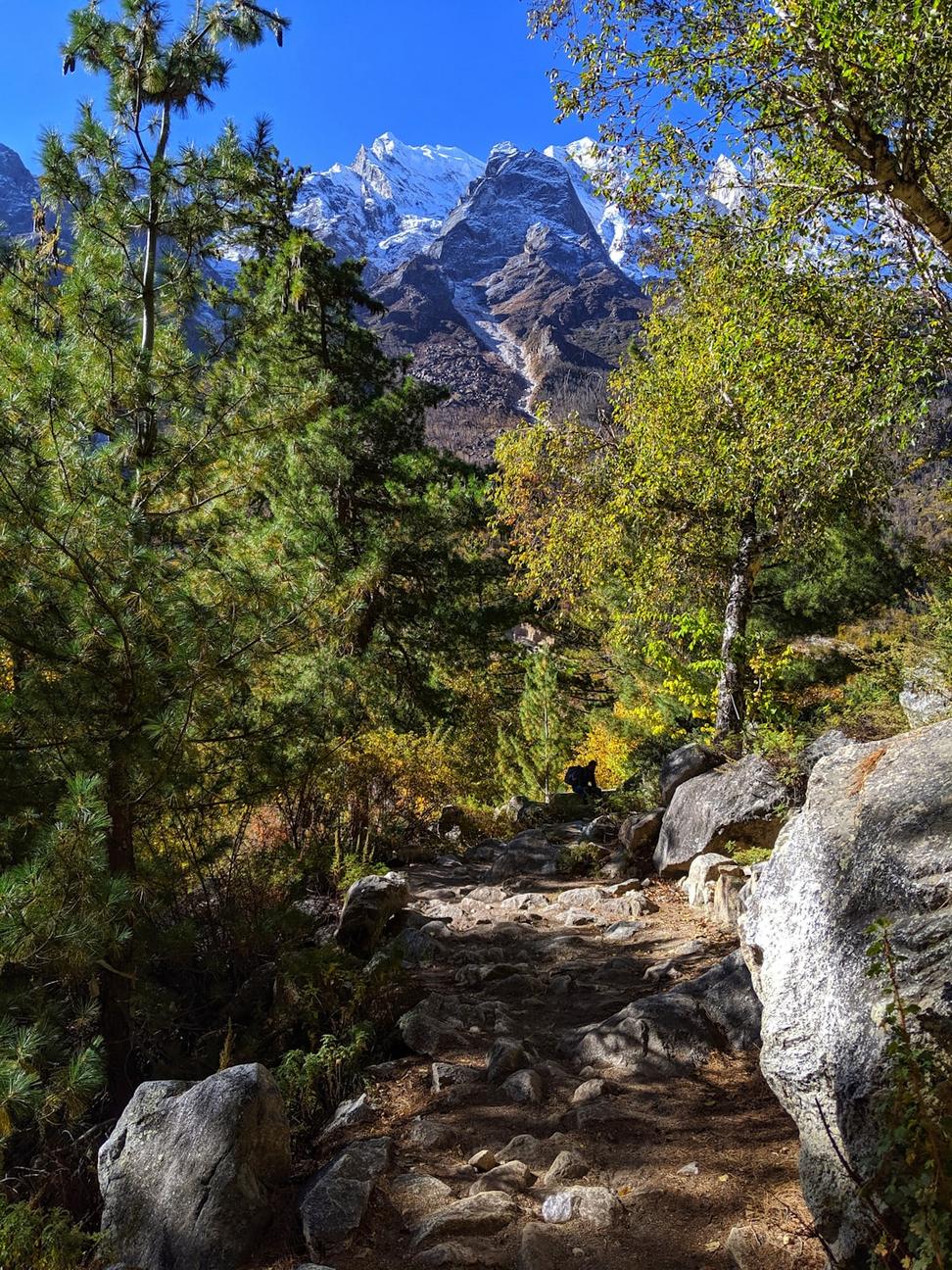 Mountain wellness views